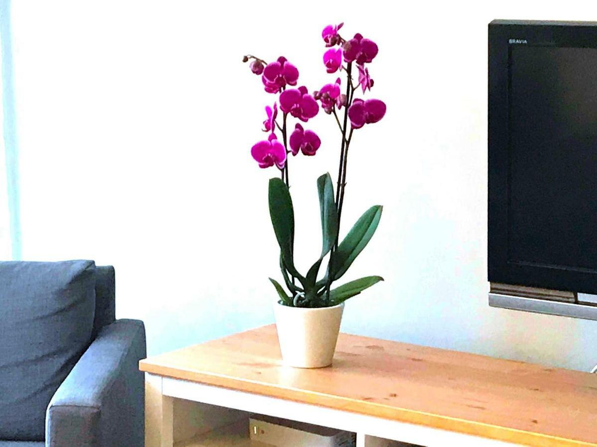 Sopot Apartment 외부 사진